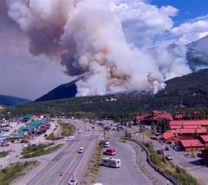 Area Build R Wildfire online slot