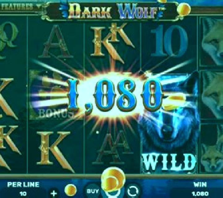 Area Link Wolf slot machine