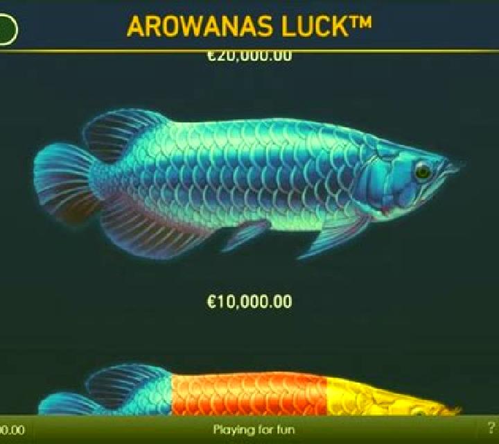 Arowanas Luck slot