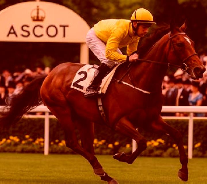 Ascot Gold slot game