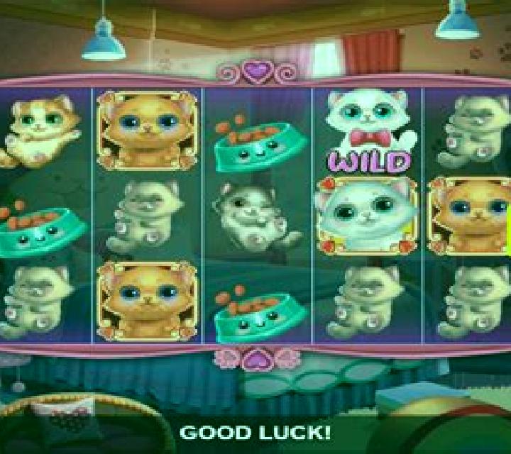 Awww, So Cute slot