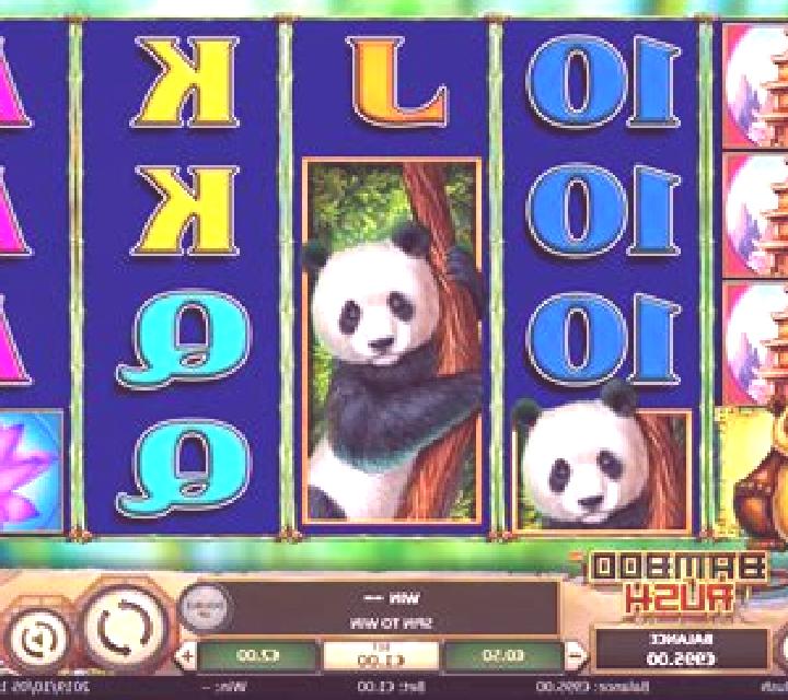 Back to the Fruits slot