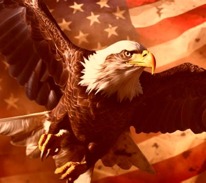Bald Eagle online slot