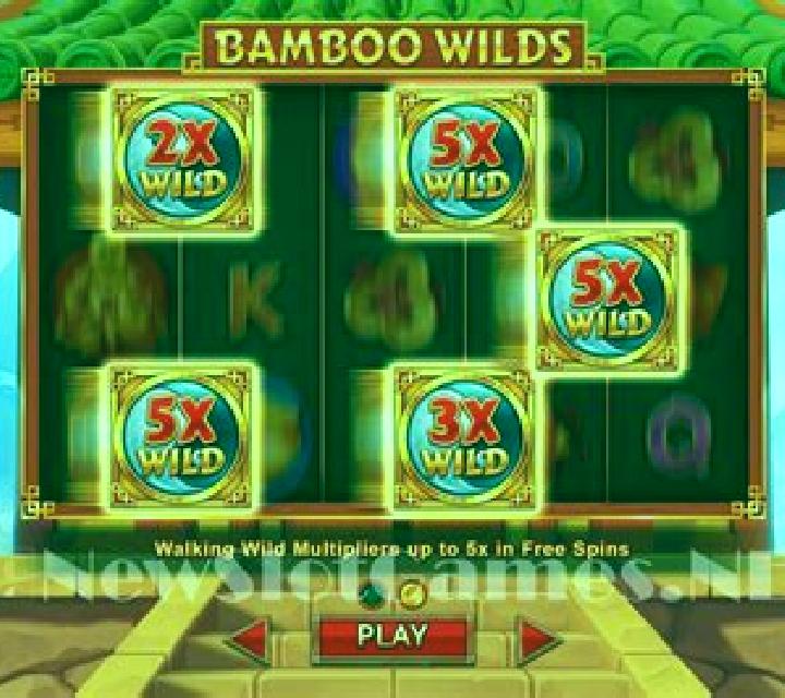 Bamboo Wilds slot game