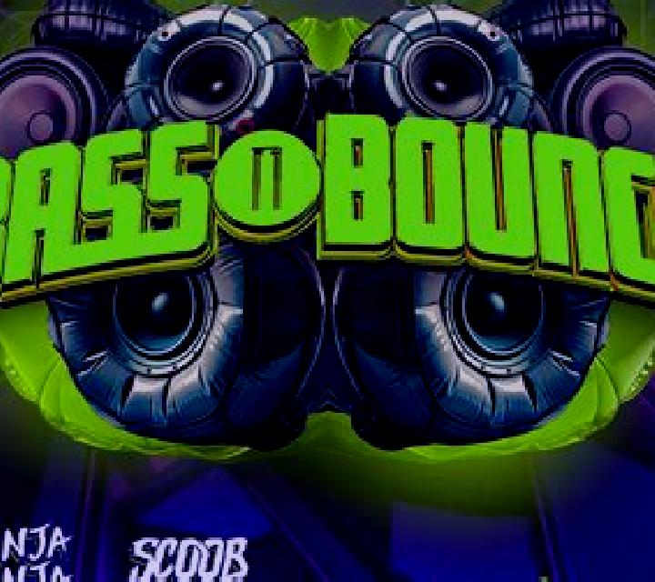 Bass Bounce slot game