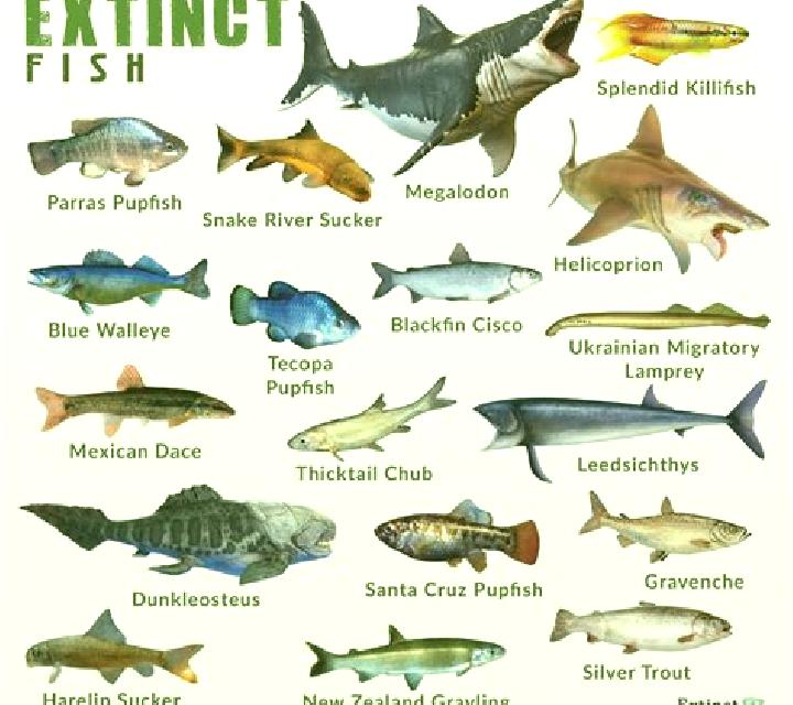 Bassic Extinct slot machine