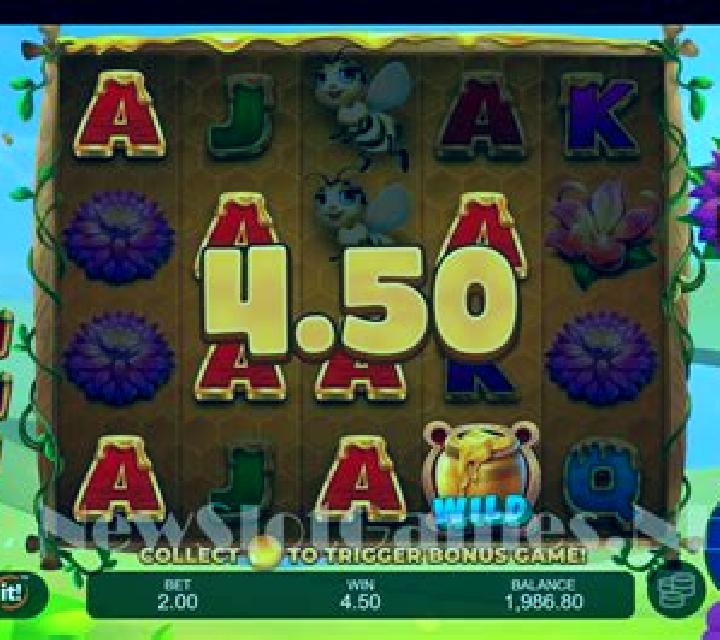 Beachside Buzz slot machine