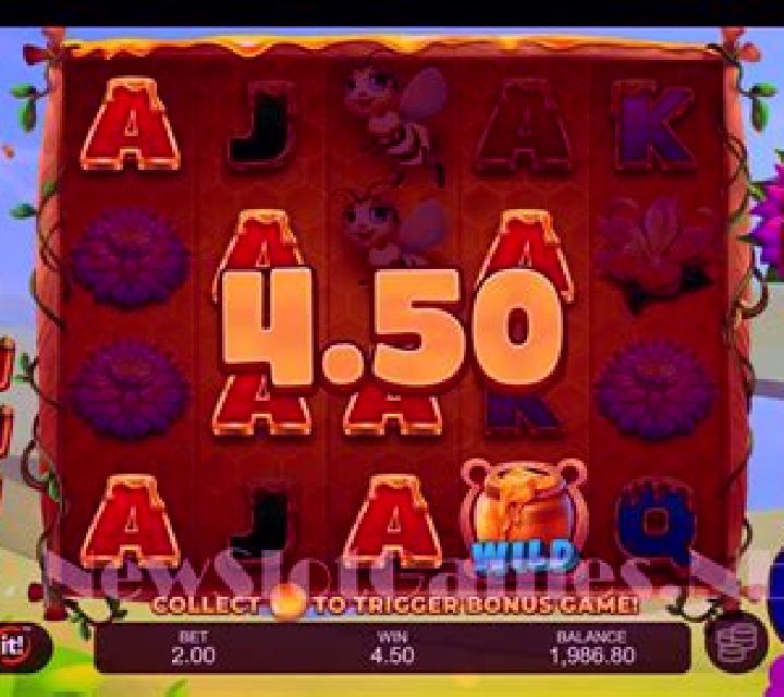 Bear Buzz slot game