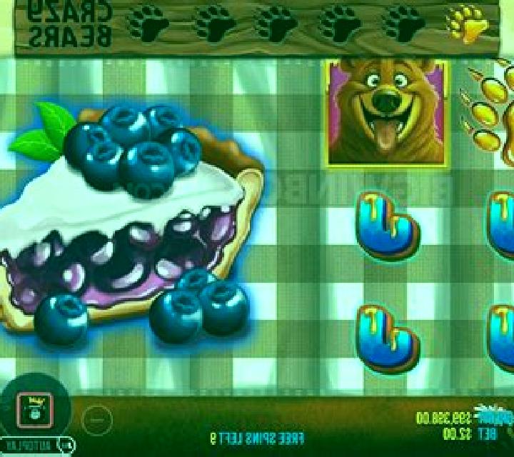 Bear Crazy slot game
