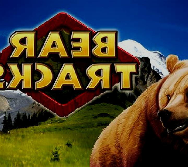 Bear Tracks slot game
