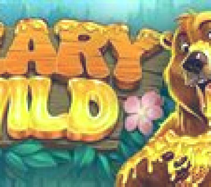 Beary Wild slot game