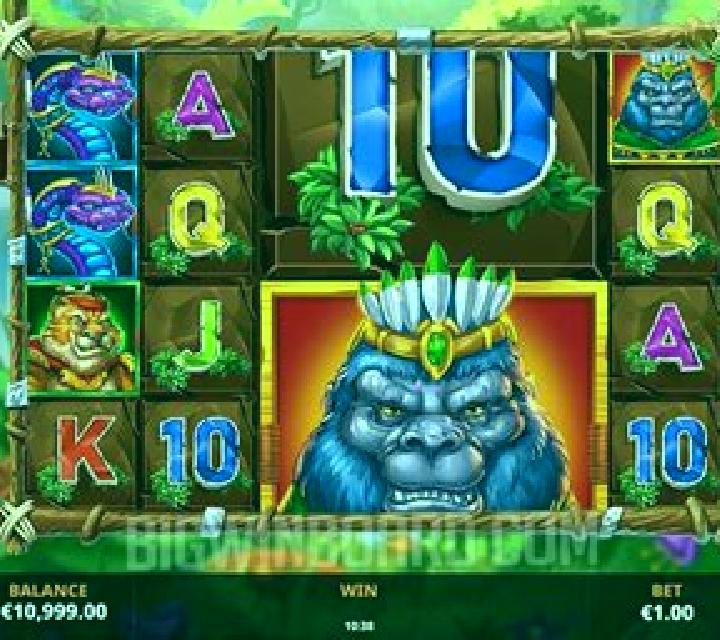 Beasty Bingo slot game
