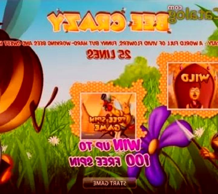 Bee Crazy HD slot
