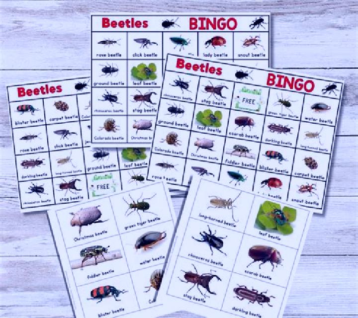 Beetle Bingo (Playtech) online slot