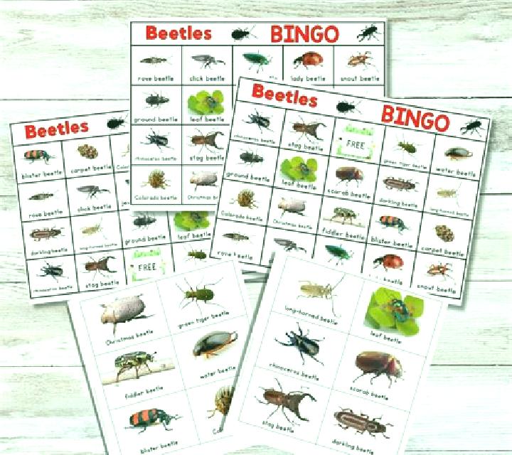 Beetle Bingo (Playtech) slot game