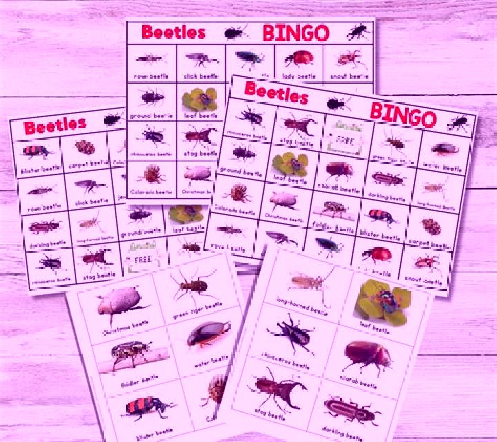 Beetle Bingo (Playtech) slot