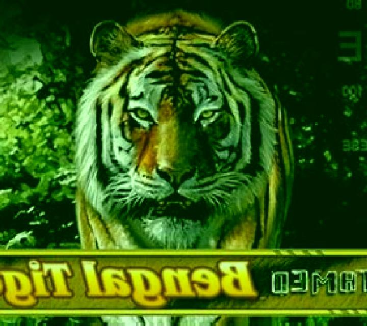 Bengal Tiger slot game
