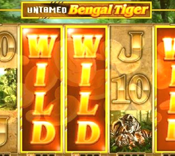 Bengal Tiger slot