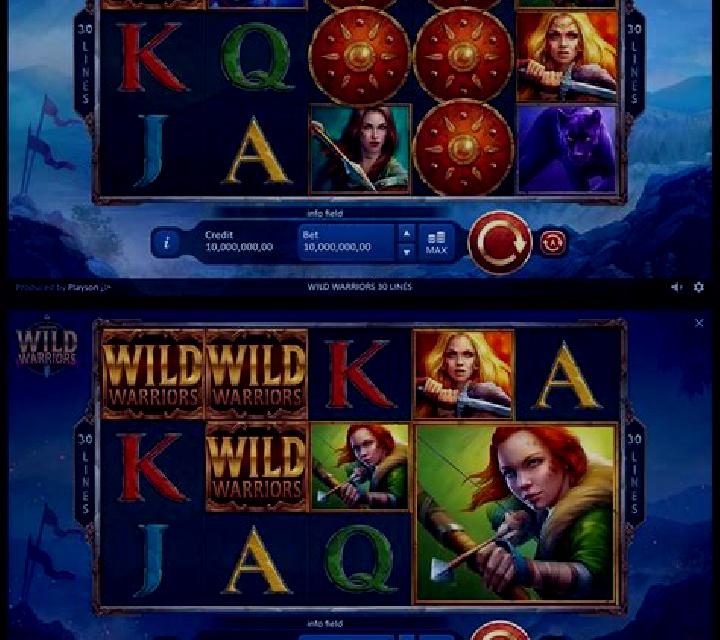 Berserkers: Odin s Warriors slot machine