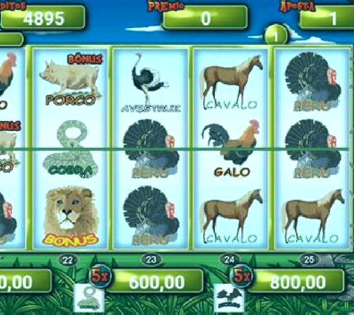 Bicho slot machine