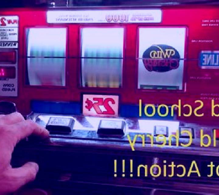 Bidding Wild slot machine