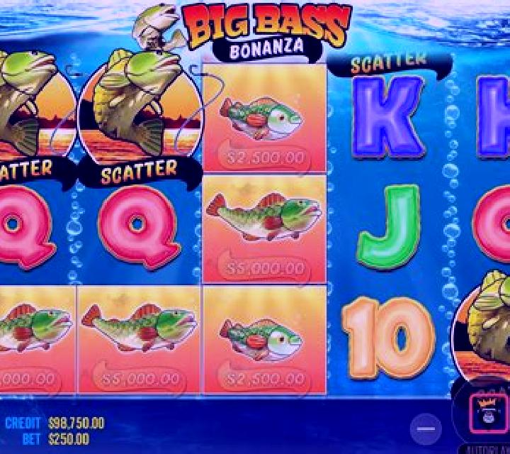 Big Bass Bounty Reels slot