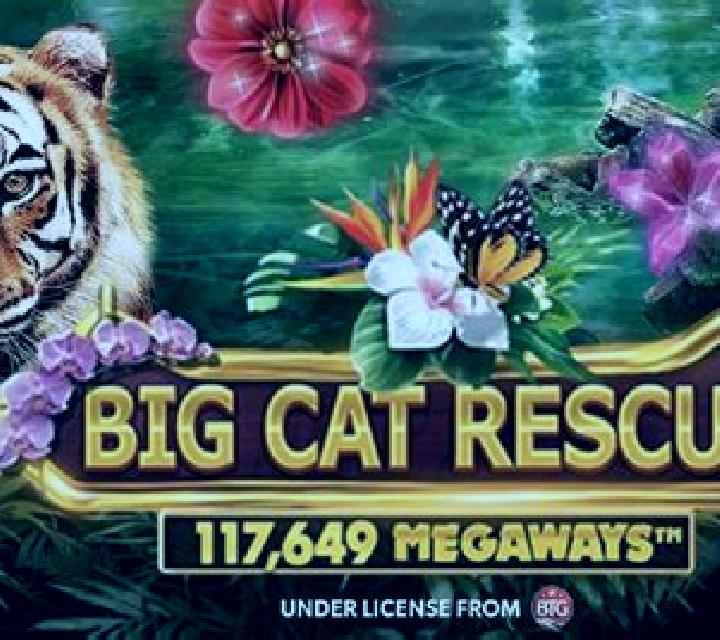 Big Cat Rescue Megaways online slot