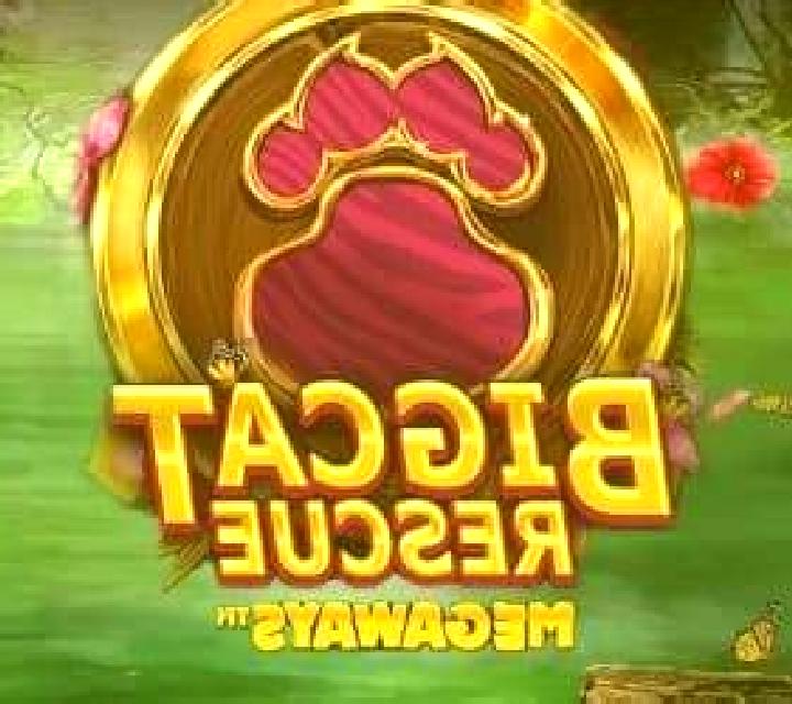 Big Cat Rescue Megaways slot game