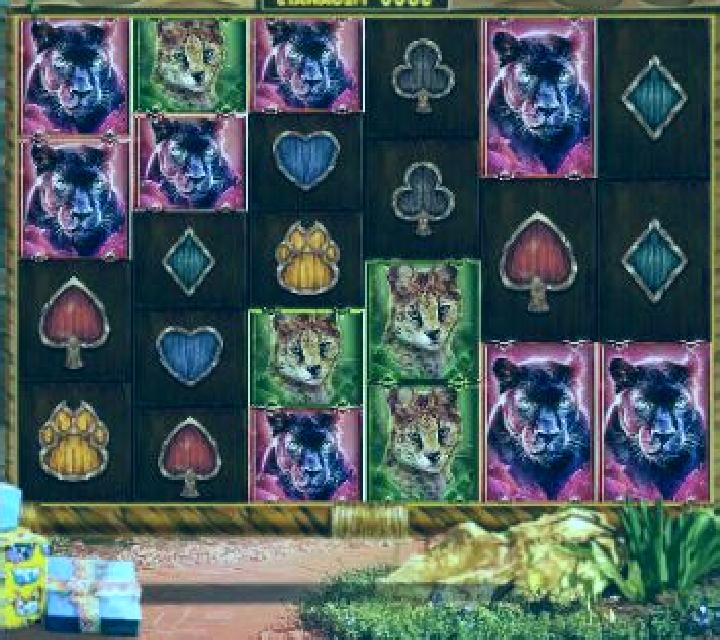 Big Cat Rescue Megaways slot machine