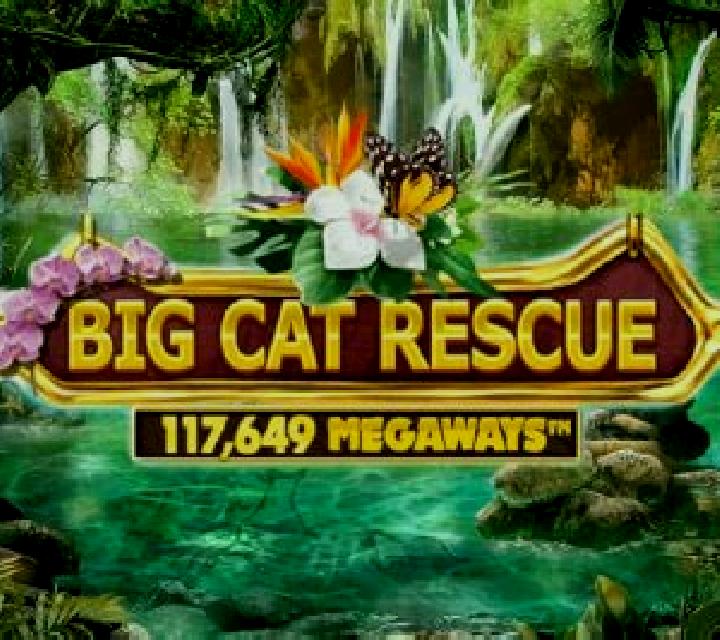 Big Cat Rescue Megaways slot