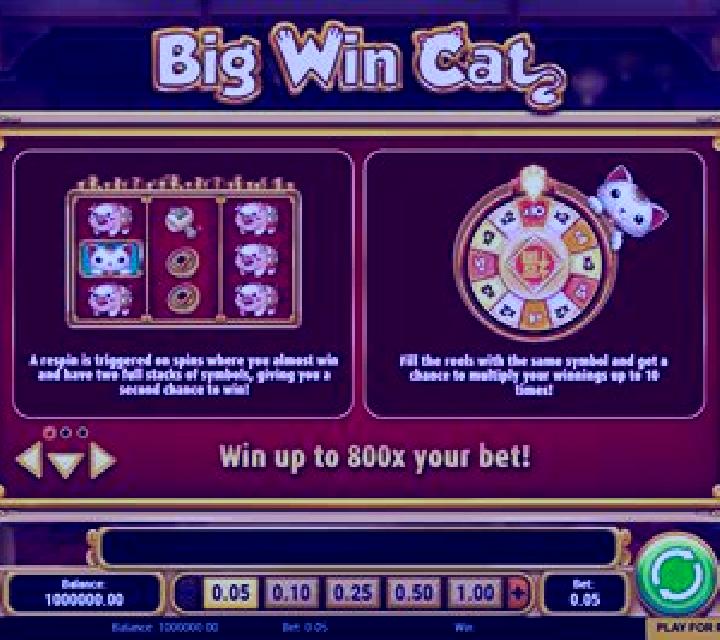 Big Cat slot