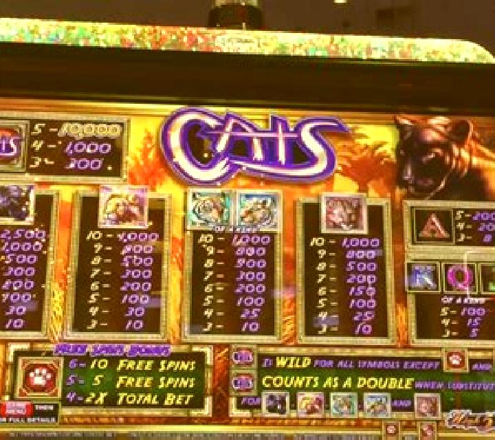 Big Cats slot machine
