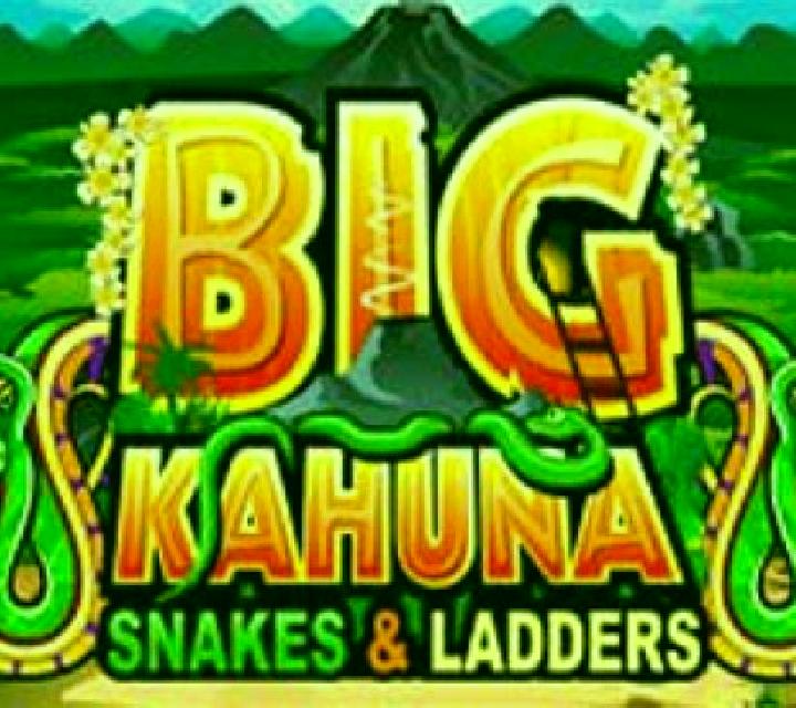 Big Kahuna - Snakes & Ladders slot machine