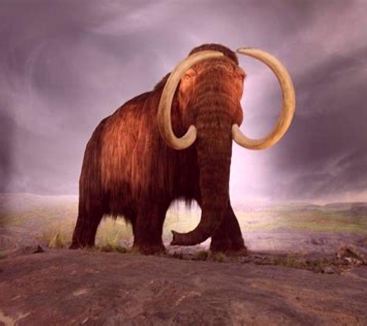 Big Mammoths online slot