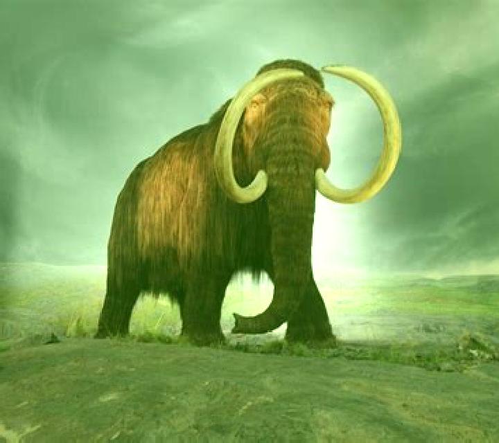 Big Mammoths slot game