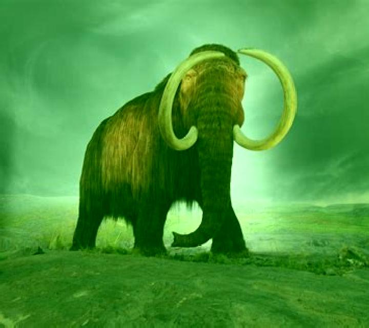 Big Mammoths slot machine