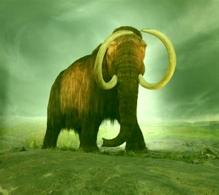 Big Mammoths slot