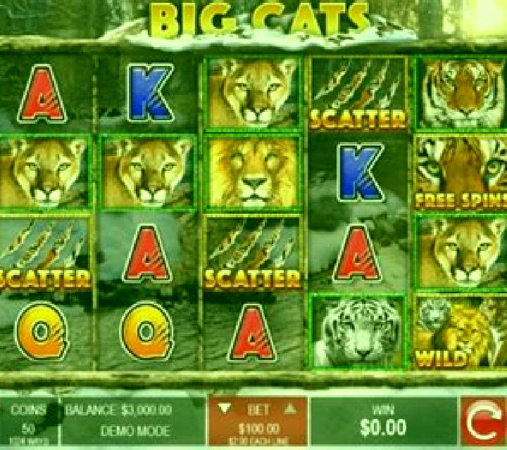 Big Wild Cats online slot