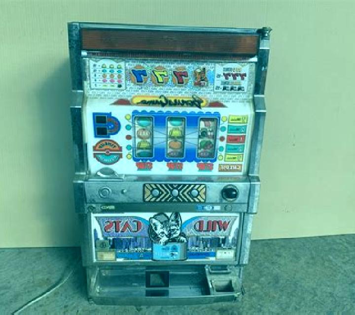 Big Wild Cats slot machine