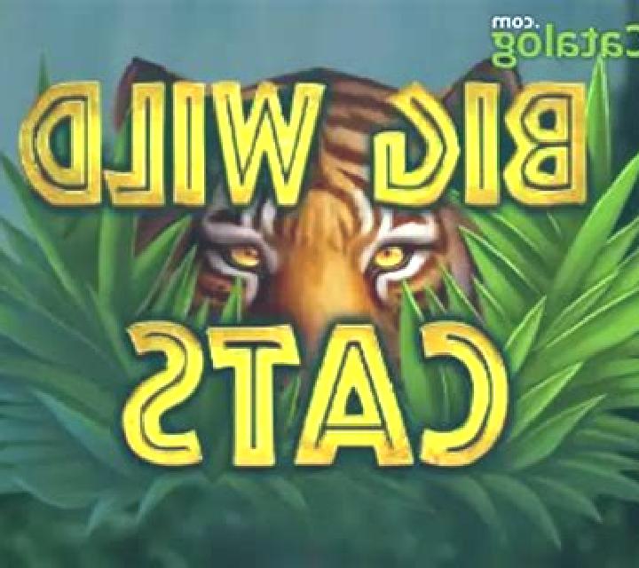 Big Wild Cats slot