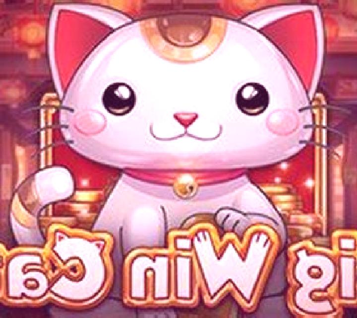 Big Win Cat online slot