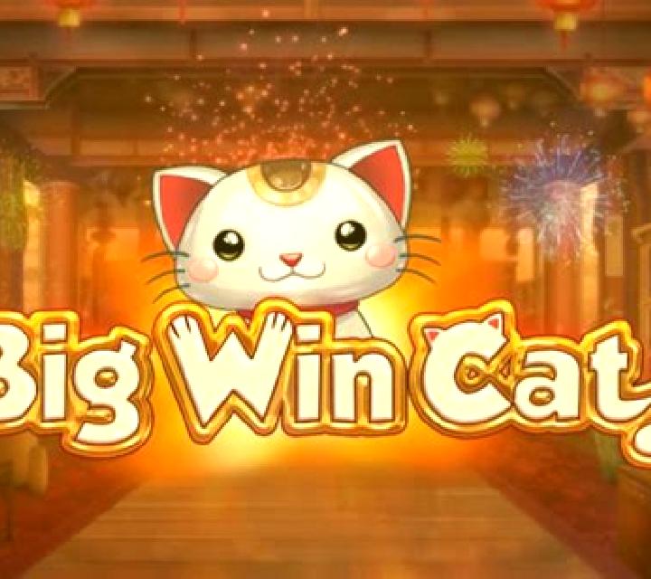 Big Win Cat slot game