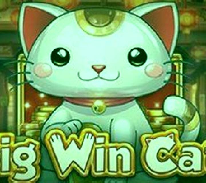 Big Win Cat slot machine