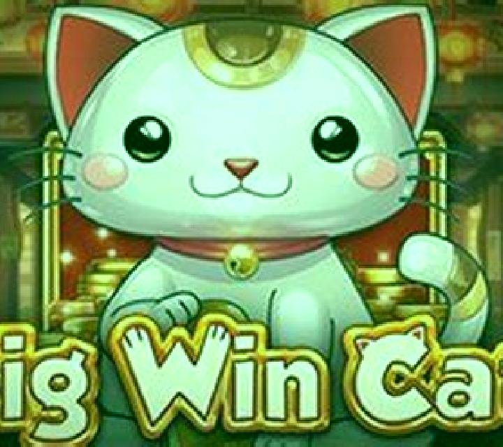 Big Win Cat slot