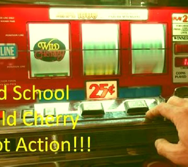 Bikini Chaser slot machine