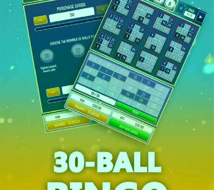 Bingo 30 Ball online slot