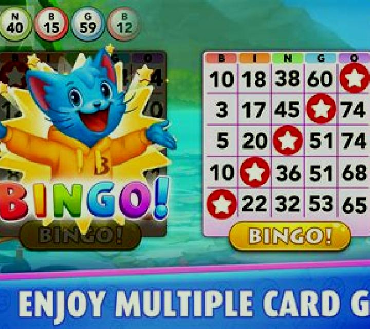 Bingo Adventure slot game
