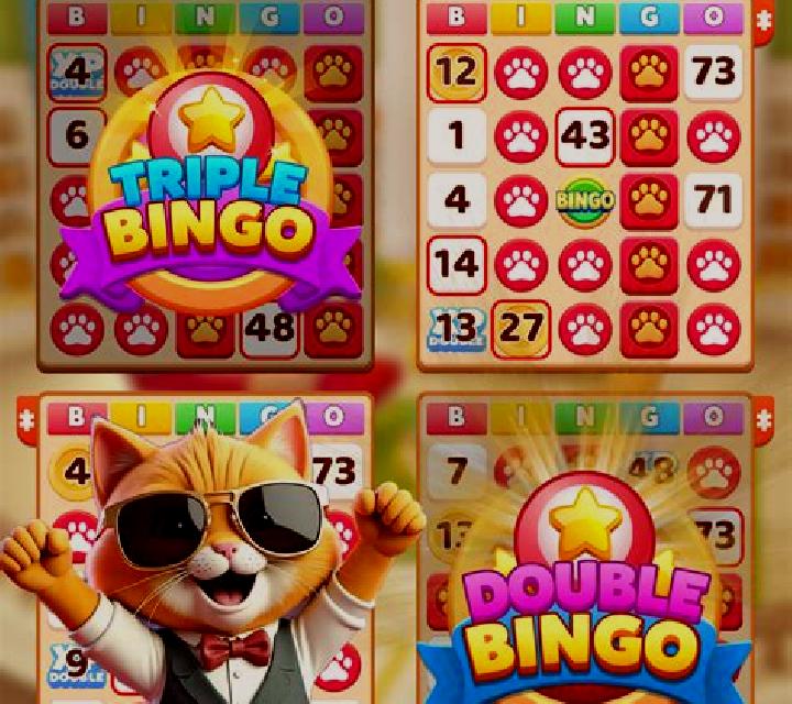 Bingo Dream slot game