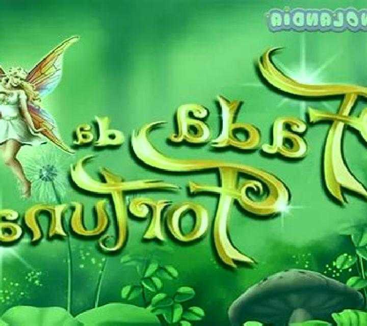 Bingo Fada da Fortuna slot game