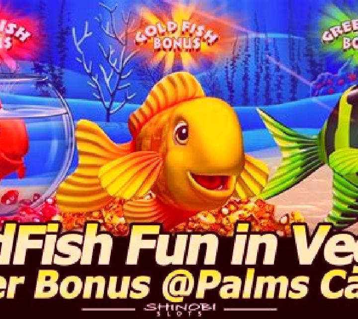 Bingo Fishing slot